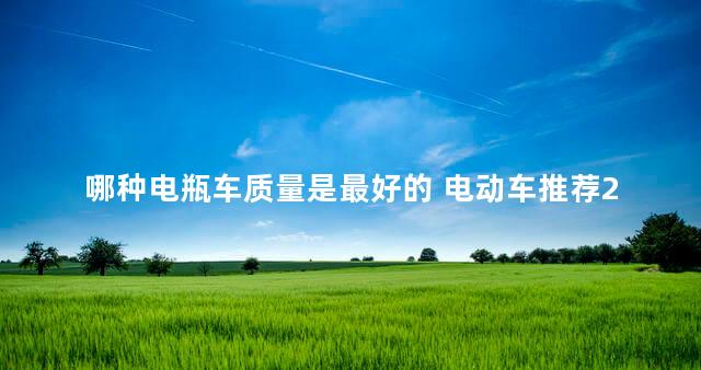 哪种电瓶车质量是最好的 电动车推荐2021性价比高